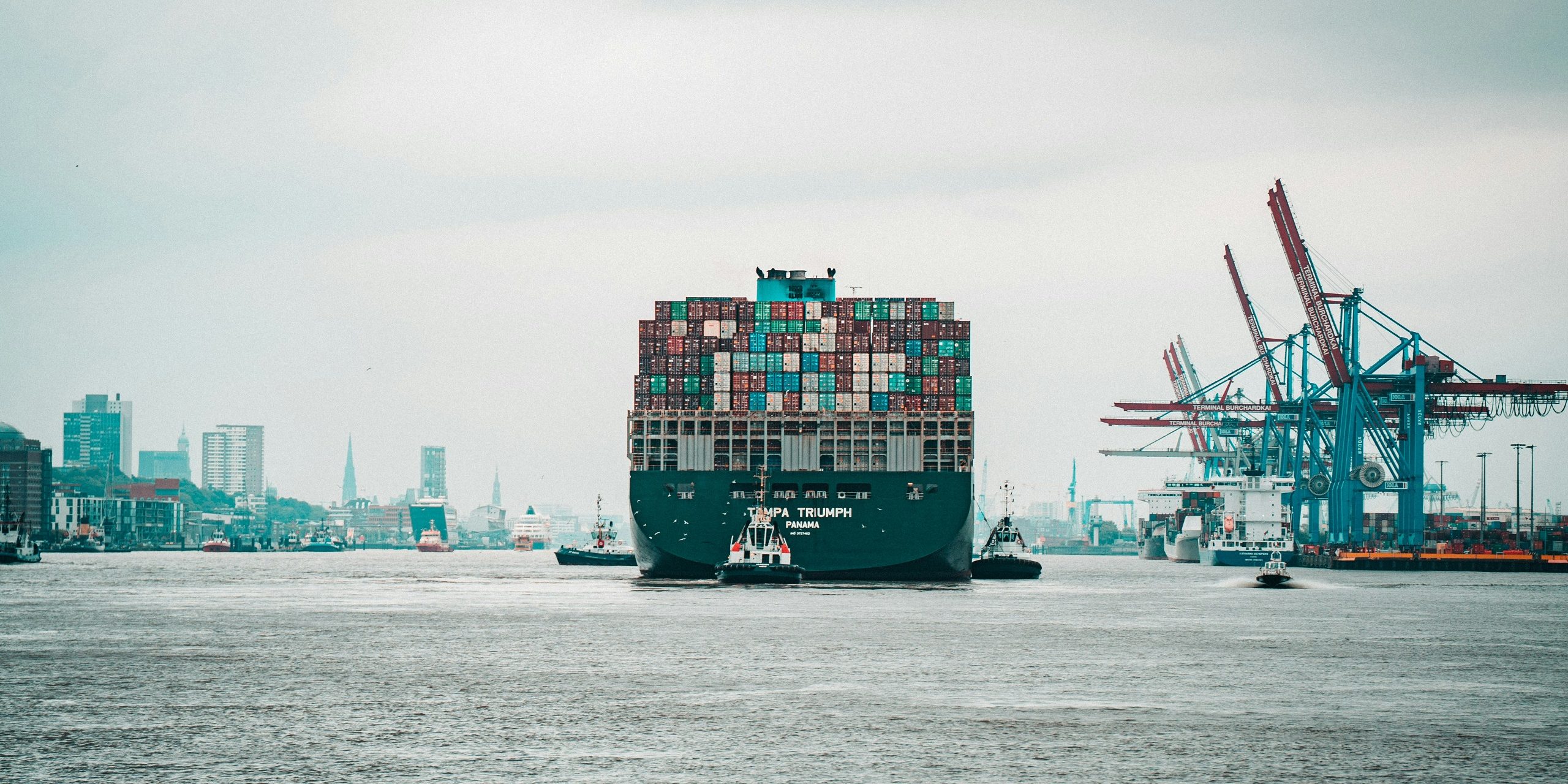 mika-baumeister-lBVvPNHjQko-unsplash_klein